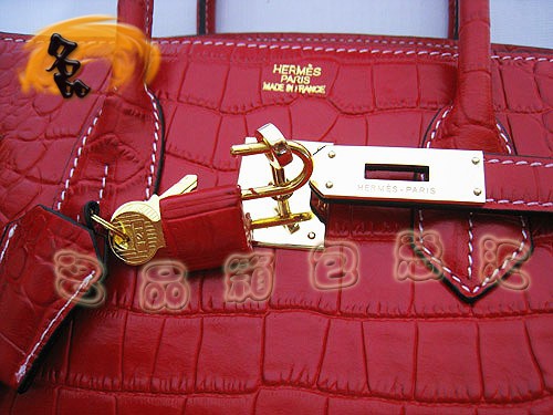 6089 Hermes¿ ʱŮʿ  Hermes Birkin   35 Birkin