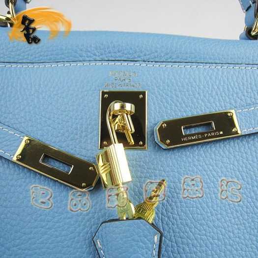 6108 Hermes ǳɫ֦ HermesŮʿб Hermes Kelly 