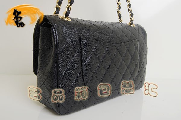 01112 Chanel2.55ϵ ¿ƤʱŮʿ Chanelб ɫ