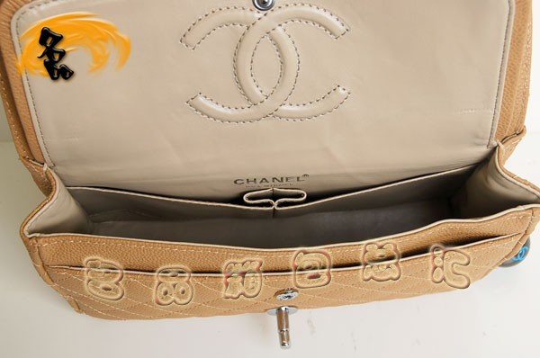 01112 Chanel2.55ϵ ¿ƤʱŮʿ Chanelб ɫ