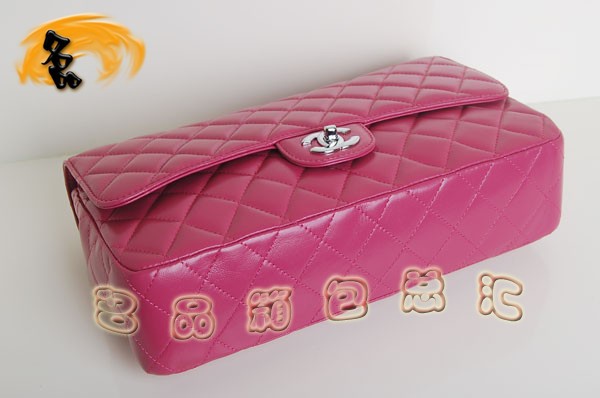 1113 Chanel2.55ϵ Chanel ζб ¿ƤŮ Һɫ