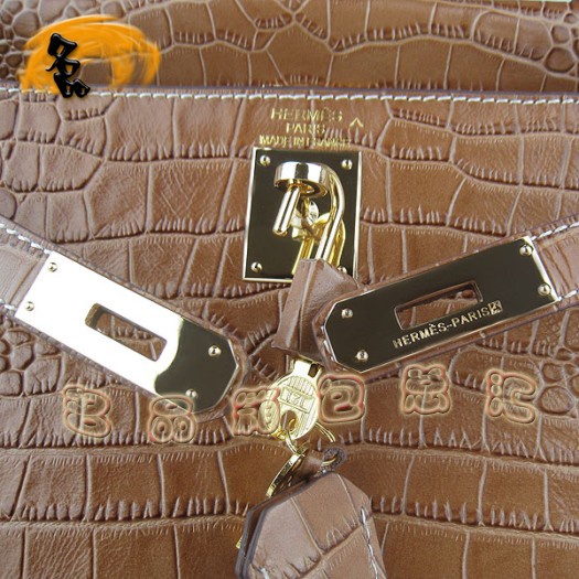 6108 Hermes¿ б Hermes KellyϵŮʿ ǳȽ