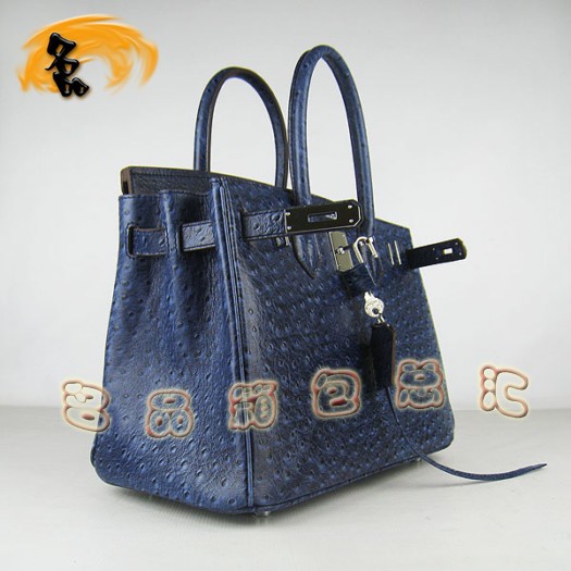 6088 Ů Hermes Birkin  Hermes  ɫ