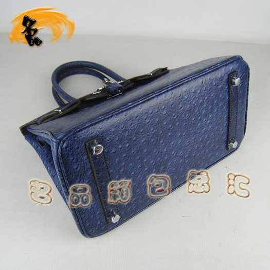 6088 Ů Hermes Birkin  Hermes  ɫ