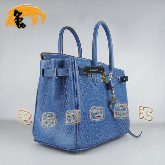 6088 Ů Hermes Birkin  Hermes ƽ ɫ