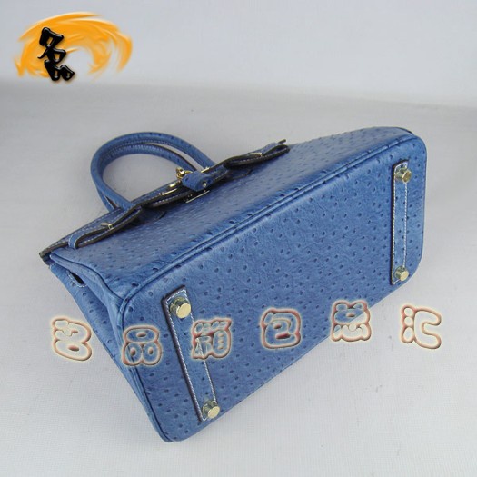 6088 Ů Hermes Birkin  Hermes ƽ ɫ