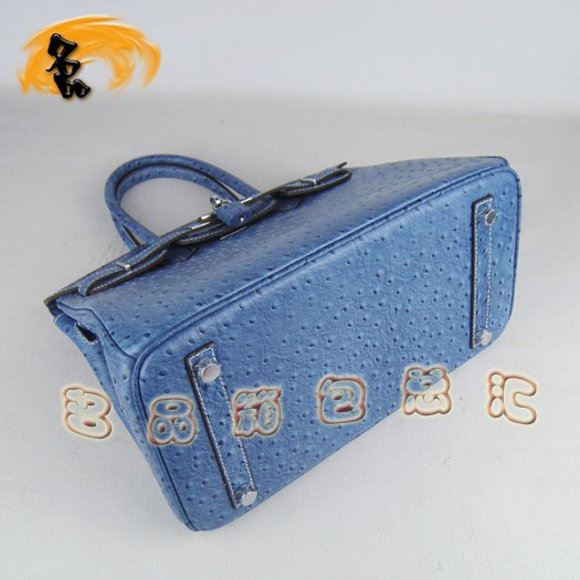 6088 Ů Hermes Birkin  Hermes  ɫ