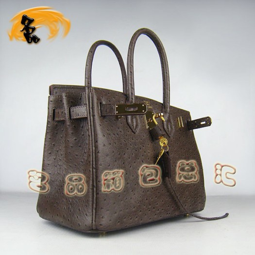 6088 Ů Hermes Birkin  Hermes ƽ ɫ