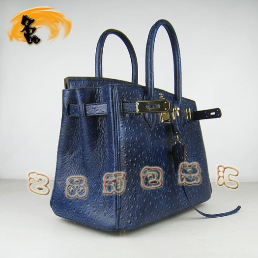 6088 Ů Hermes Birkin  Hermes ƽ ɫ