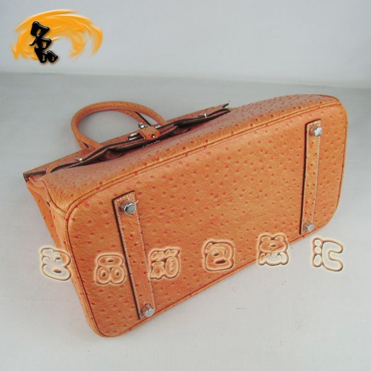 6089 ¿Ů Hermes Birkin  Hermes ɫ