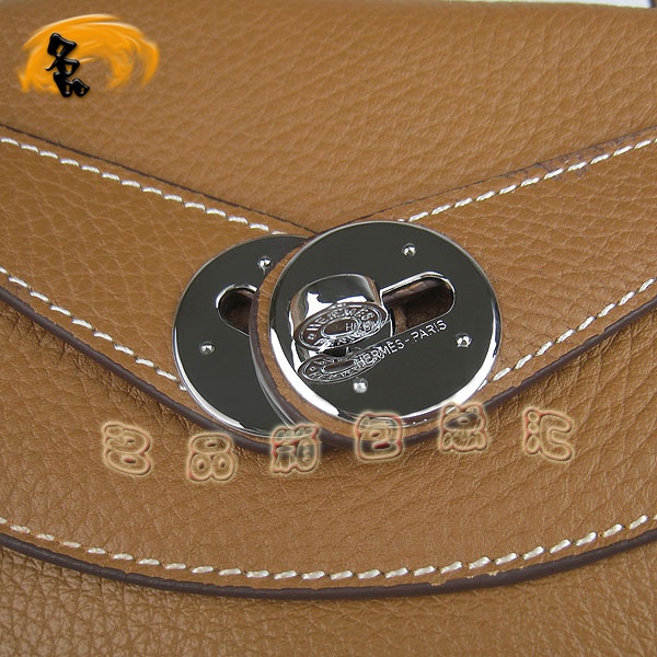 6208 Hermes Lindyϵ Hermes Ů Hermes ֦ ǳɫ