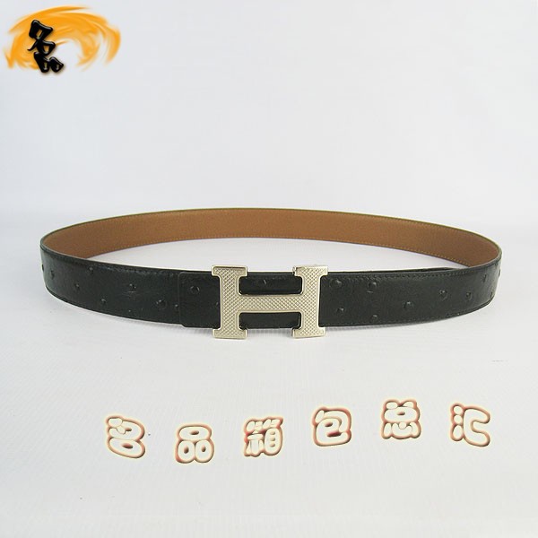 487 ¿ пƤ HermesƤ Hermes ǳ 3cm