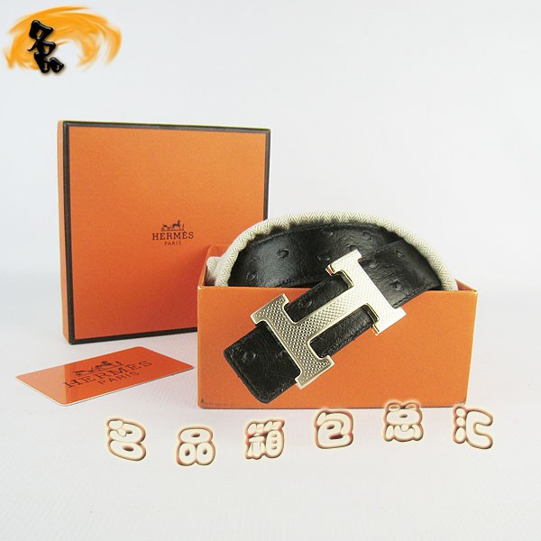 487 ¿ пƤ HermesƤ Hermes ǳ 3cm