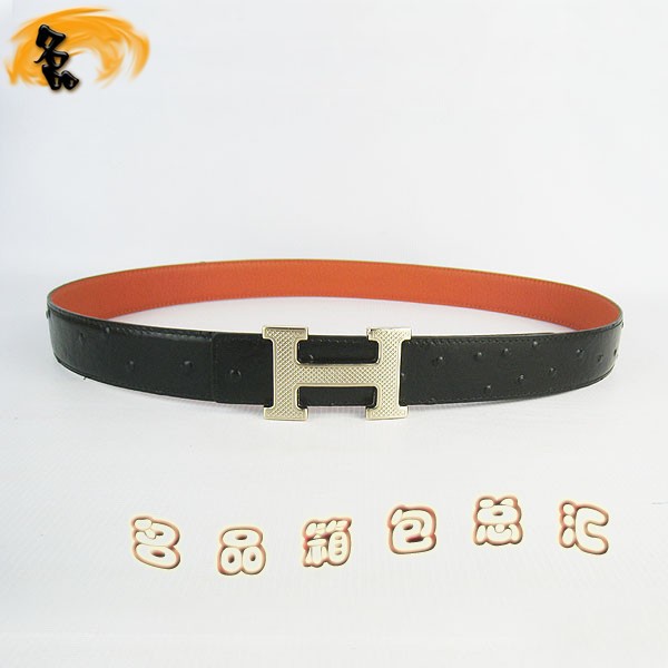 487 ¿ пƤ HermesƤ Hermes Ƴ ǳ3cm