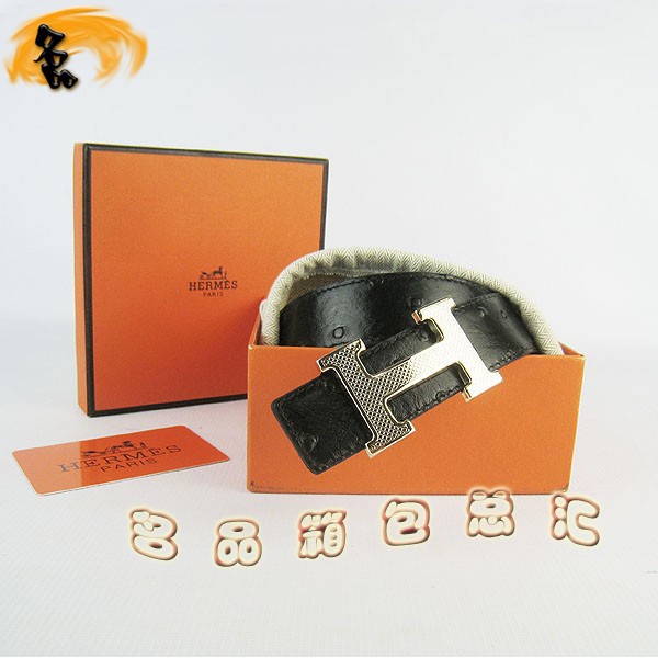 487 ¿ пƤ HermesƤ Hermes ƺ ǳ3cm