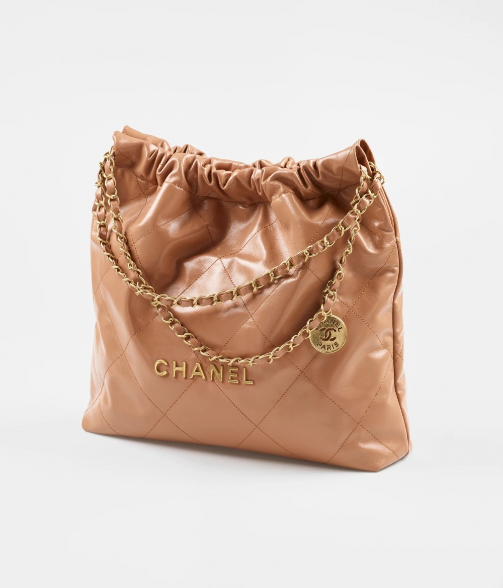 CHANEL 22 HandBag