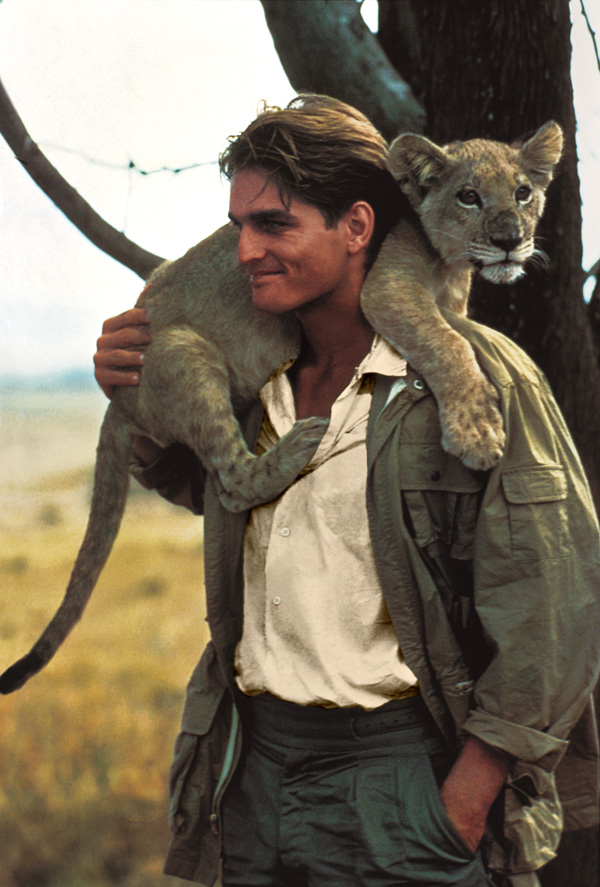ȫRL67 Safariϵд