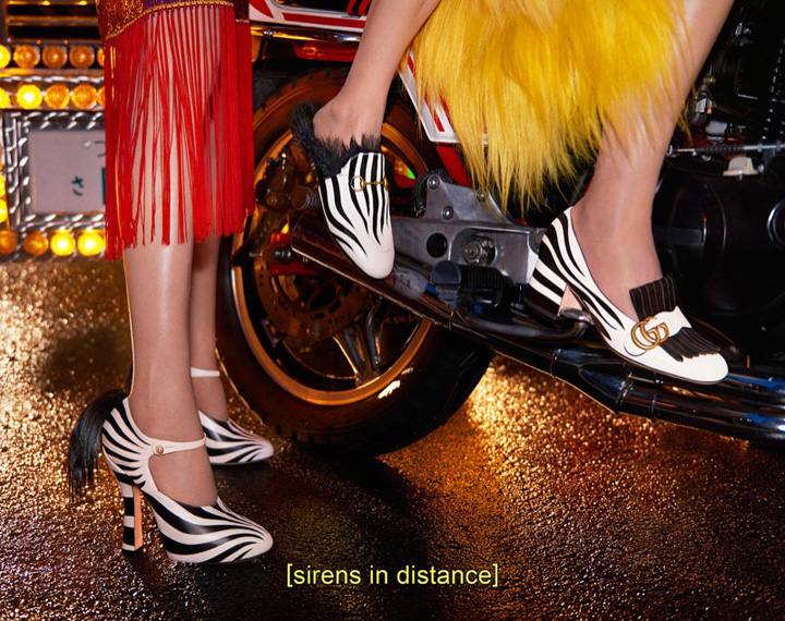 Gucci 2016ﶬϵйƬ